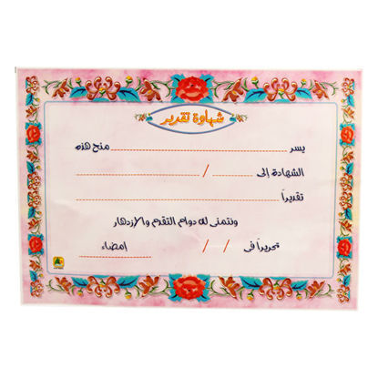 Picture of Certificate of Appreciation(al nile)