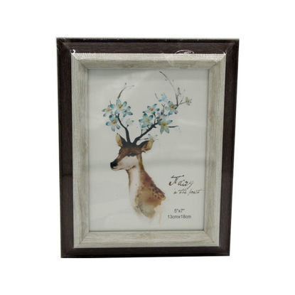 Picture of  Frame -  Photos -  Model LG369C