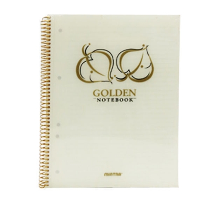Picture of  (Mintra Notebook (Gold & Silver