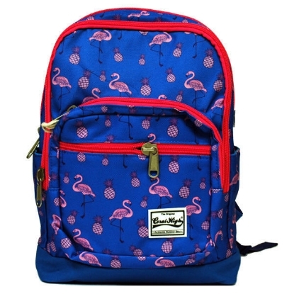Picture of School Bag Caral High NO:14166