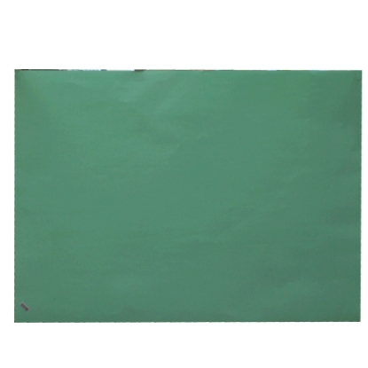 Picture of PARIS EMBOSSED PAPER 90 × 65 CM 150 GM GREEN