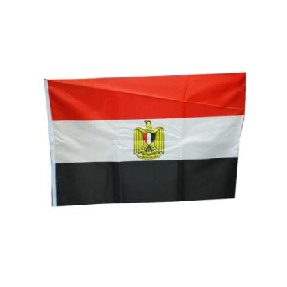 Picture of علم مصر قماش مقاس كبير 60×90سم 