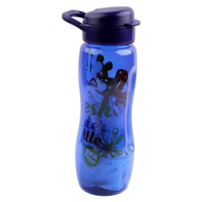 Picture of WATER FLASK MINTRA 650 ML MODEL 18167