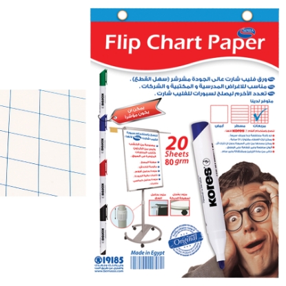 Picture of flip chart paper70×100 cm 20 Sheet 80 gm Squares